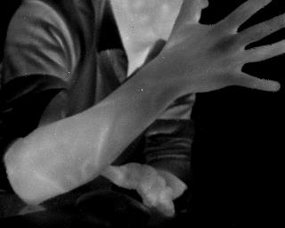 301149_2458838680246_1827520854_n